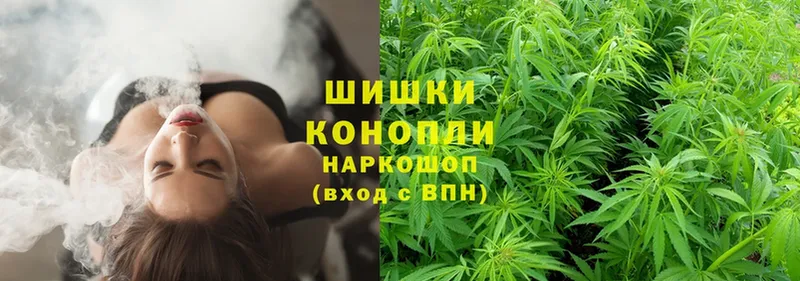 Марихуана White Widow  купить наркотик  Буйнакск 